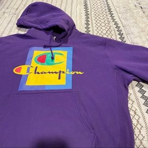 pacsun champion vintage pullover hoodie